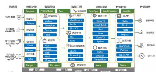 大數(shù)據(jù)技術(shù)的發(fā)展趨勢(shì)與未來(lái)服務(wù)形態(tài)